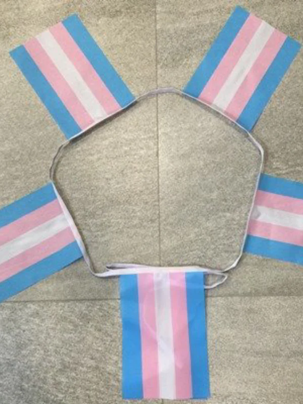 6M - 20 FLAGS TRANSGENDER PRIDE FLAGS
