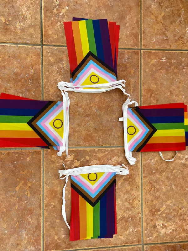 6M - 20 FLAGS INTERSEX PROGRESS PRIDE FLAGS