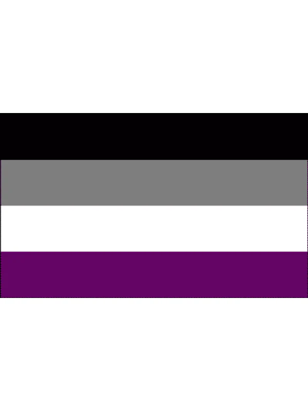 ASEXUAL PRIDE FLAG 75 CM x 96 CM