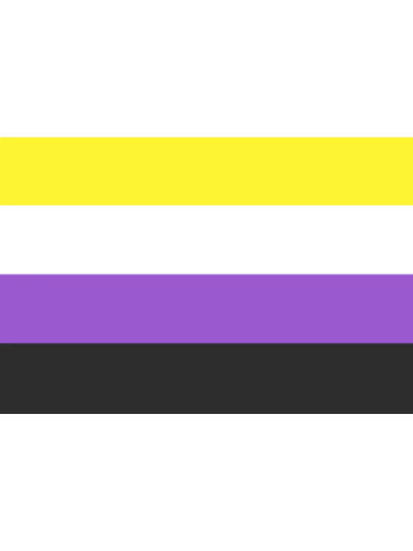 NON BINARY FLAG 75 CM x 96 CM