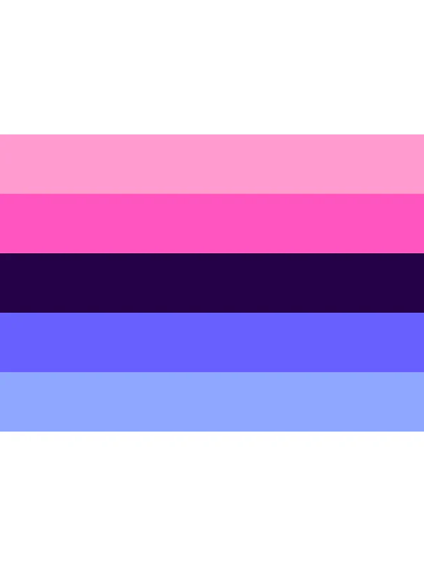 OMNISEXUAL FLAG 95 CM x 158 CM