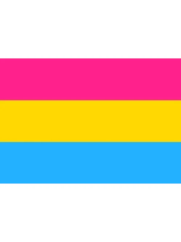 PANSEXUAL FLAG 95 CM x 158 CM
